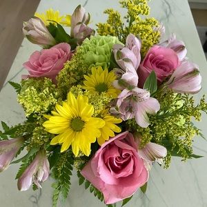 Meet your Posher, Anna